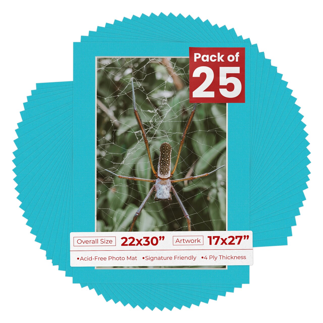 Aquamarine Blue Mat Board for 22x30 Frames - Fits 17x27 Photos